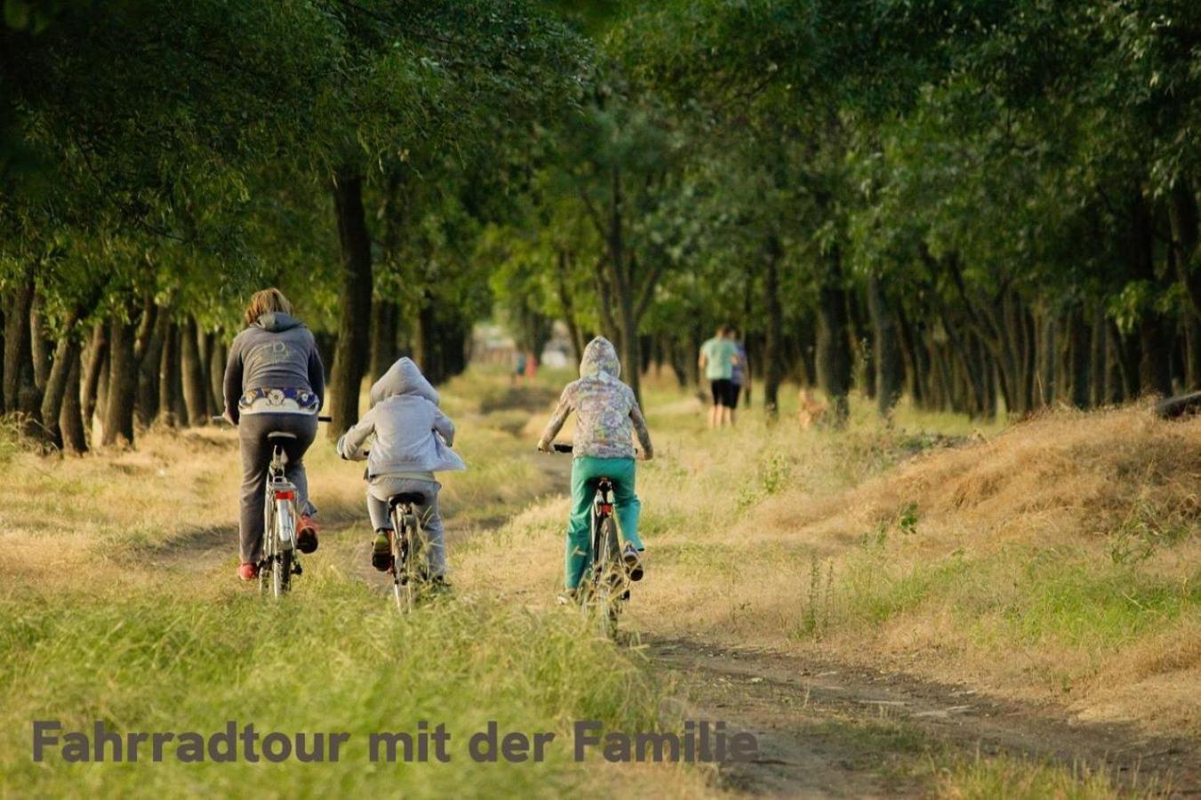 "Lilie" In Geestland-Langen, Ideal Fuer Familien & Homeoffice - Wlan & Parkplatz - 3 Zimmer, Balkon - Nahe Bremerhaven Ngoại thất bức ảnh
